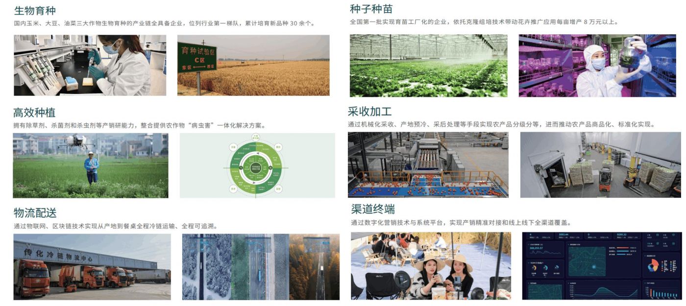 從研發(fā)培育到生產(chǎn)銷(xiāo)售終端全流程標(biāo)準(zhǔn)化打造 