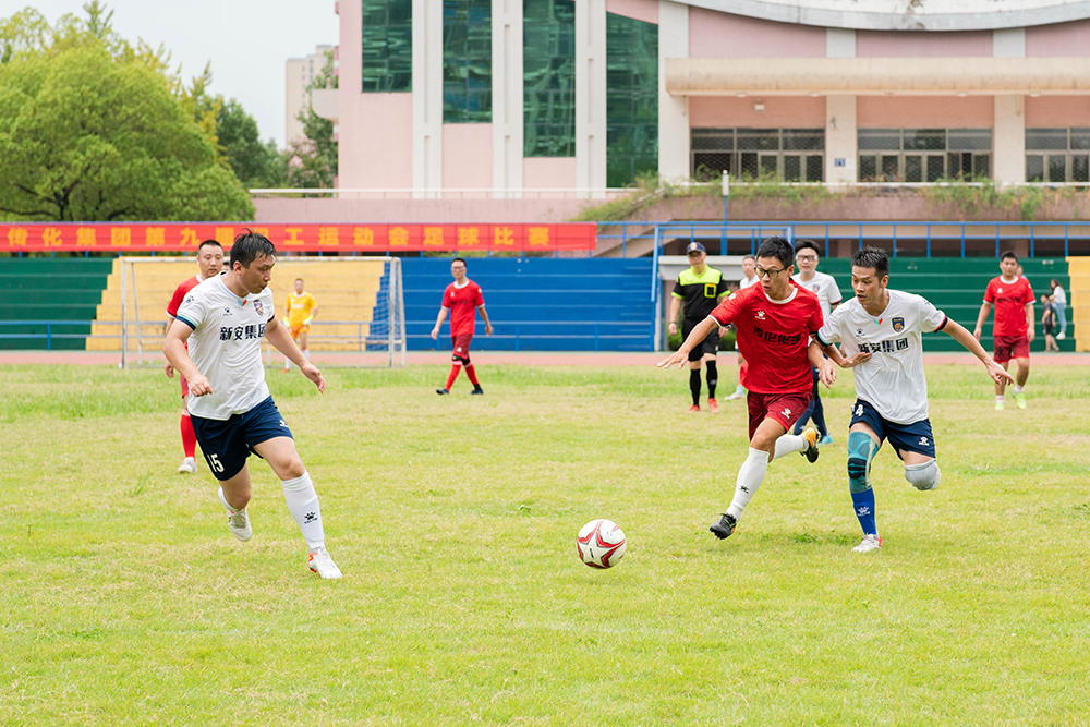 1635758850479282NpAg.jpg WEI00447.jpg