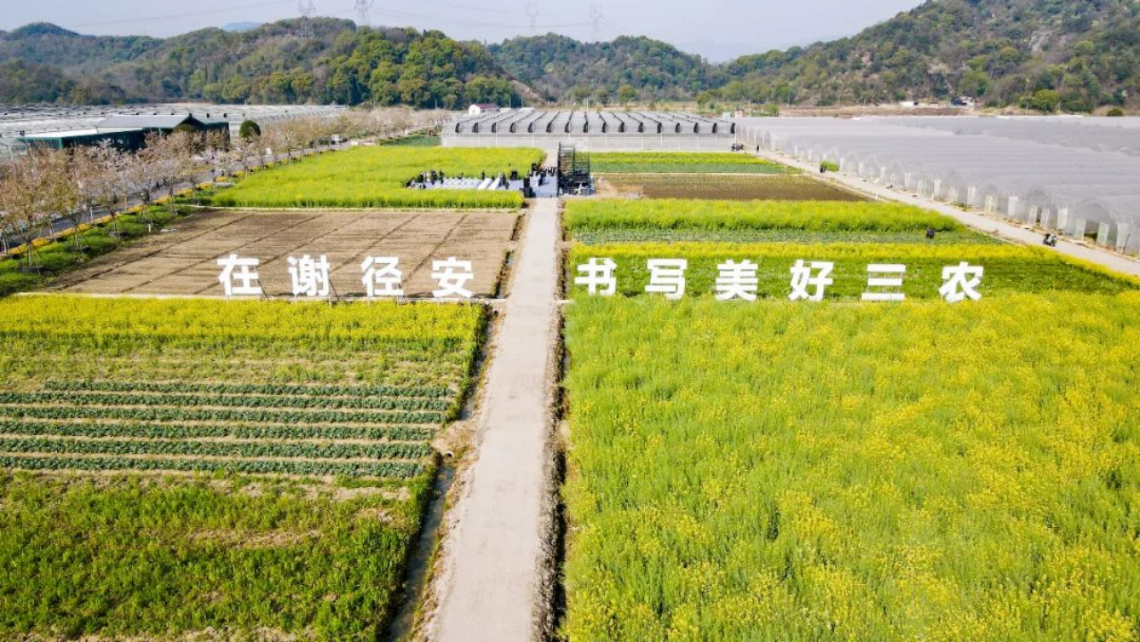 17436685575367550OWu.gif image.gif