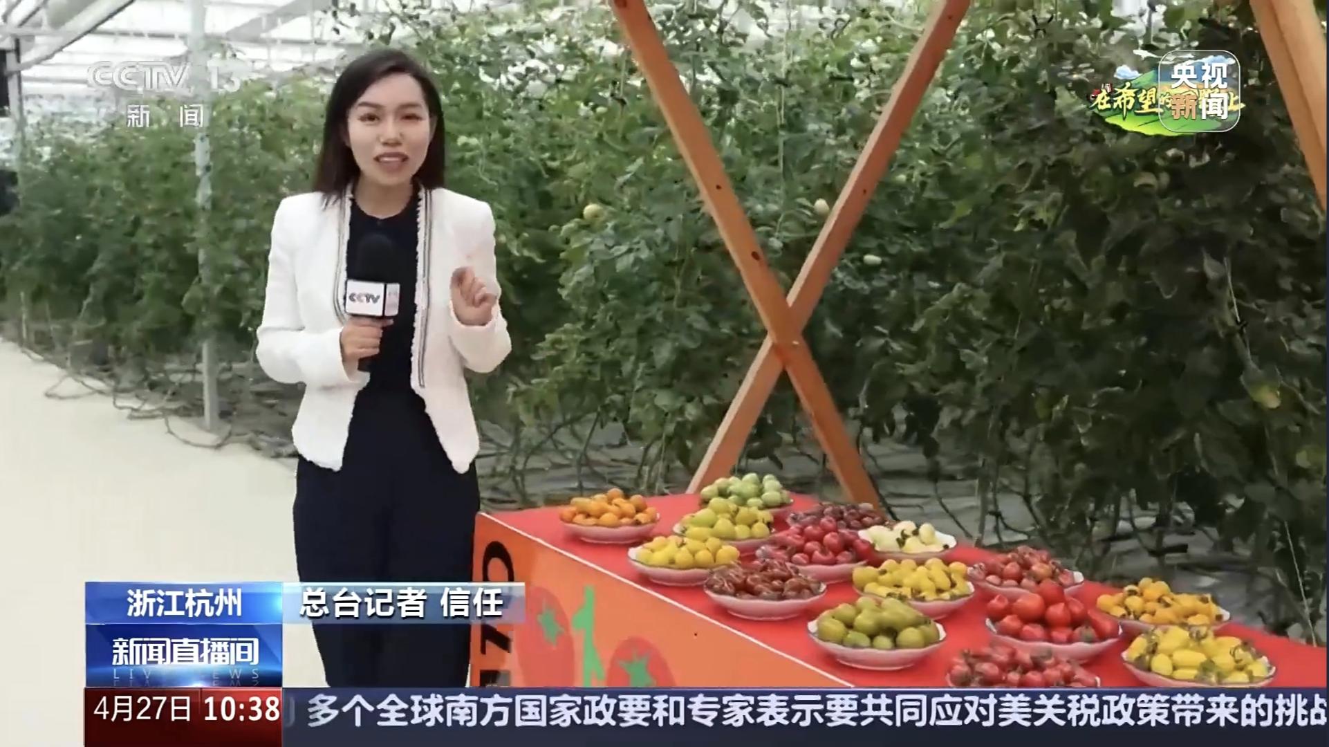 1745739496725198WFKb.jpg 信任出境番茄.jpg