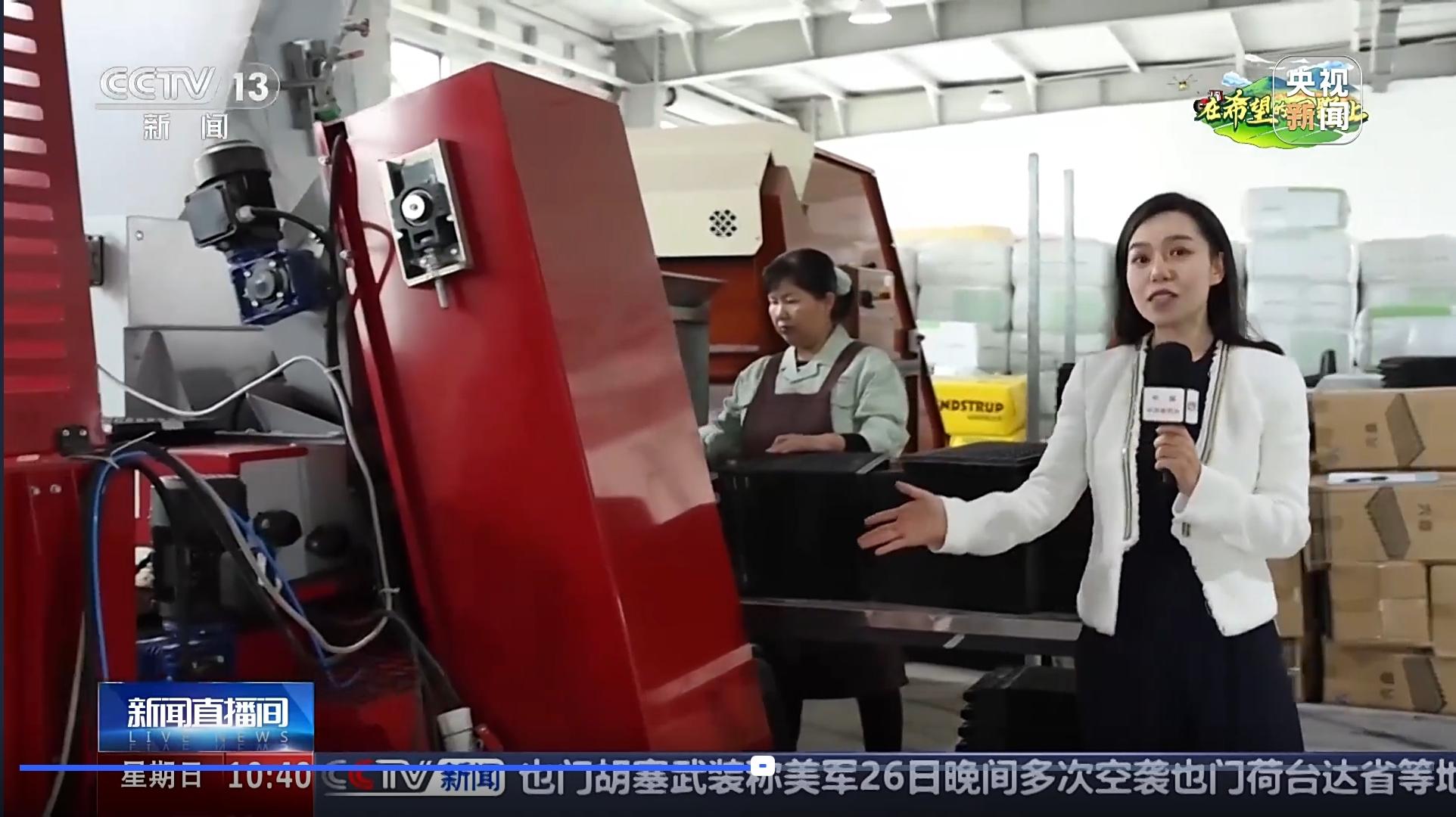 1745739607850252OWDw.jpg 播種流水線.jpg