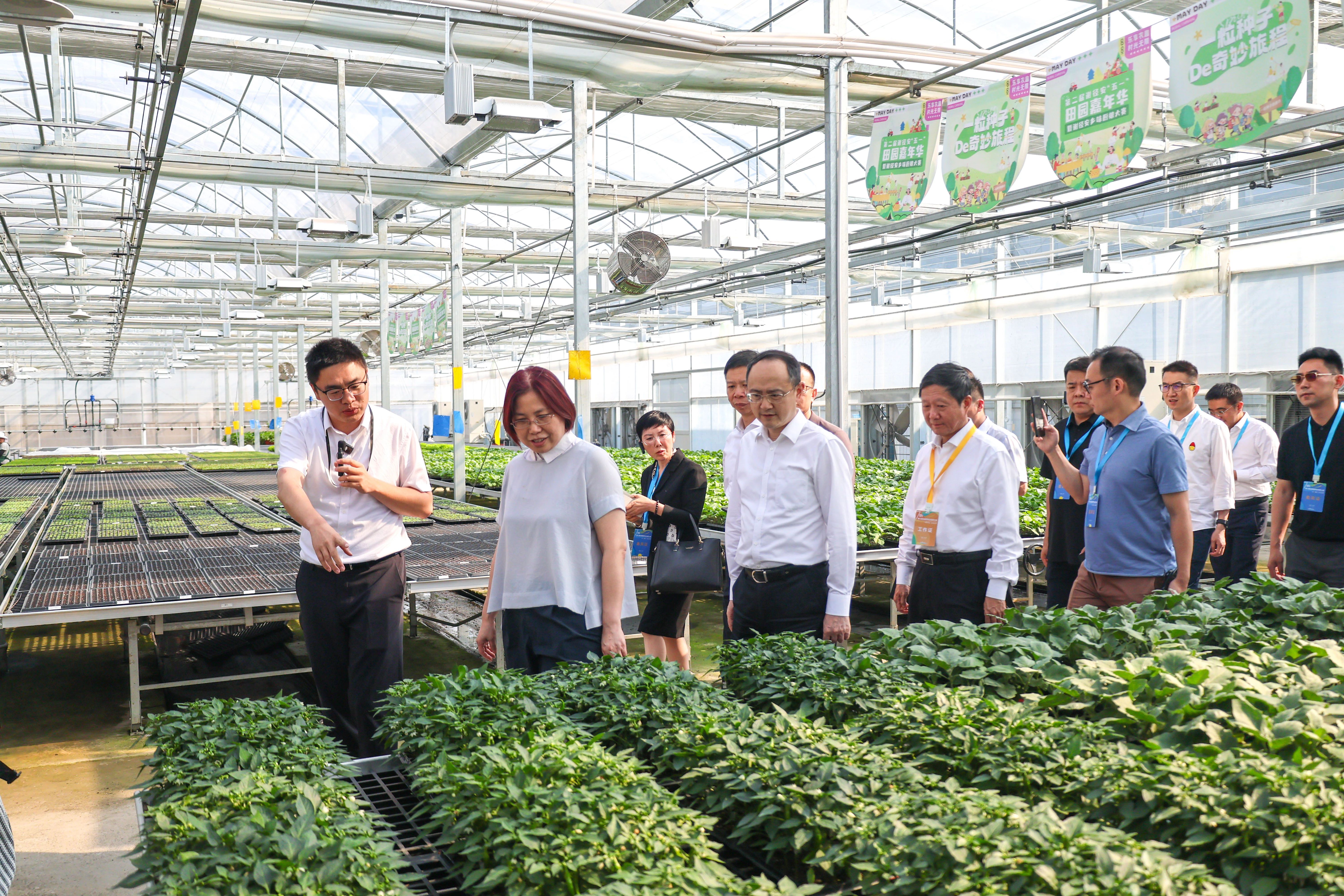 1748479786328810GdhF.jpeg 048a56acda84e58c9153ca7c859783ad.jpeg